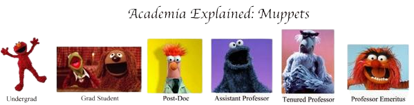 academia explained with muppets